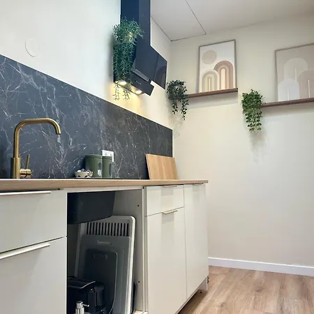 Lovely Spacious Apartment Zandvoort