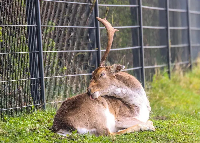 Lovely Spacious * Zandvoort